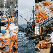 Colossal Whole King Crab Legs 3lb Family Feast Box - Wild-Caught Seafood Excellence | Flash-Frozen & Ready to Eat