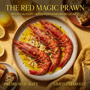 Colossal Scarlet Carabineros Prawns - Gourmet Seafood Gift Box | Rare Deep-Sea Delicacy with Rich Buttery Flavor